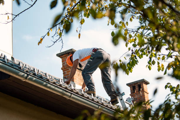 Best Roof Gutter Cleaning  in Van Buren, AR