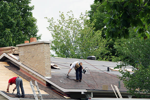 Roof Gutter Cleaning in Van Buren, AR